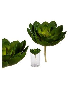 Plante décorative Ibergarden YD180138 Plastique