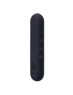 Vibreur Balle Rechargeable Freed Sportsheets Pivot Noir