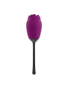 Stimulateur clitoridien Playboy Playboy Violet