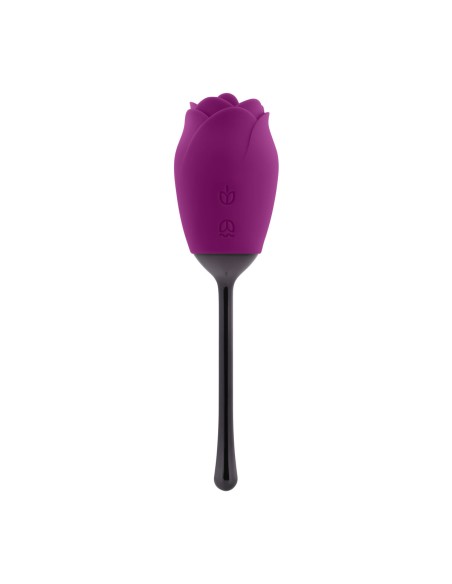 Stimulateur clitoridien Playboy Playboy Violet