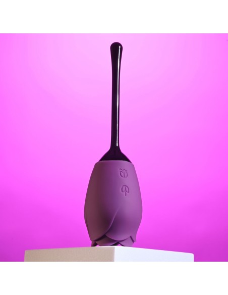 Stimulateur clitoridien Playboy Playboy Violet
