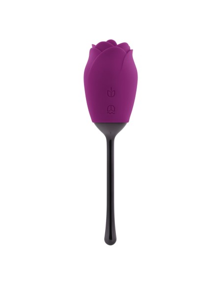 Stimulateur clitoridien Playboy Playboy Violet