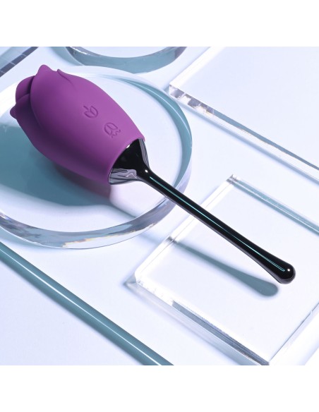 Stimulateur clitoridien Playboy Playboy Violet