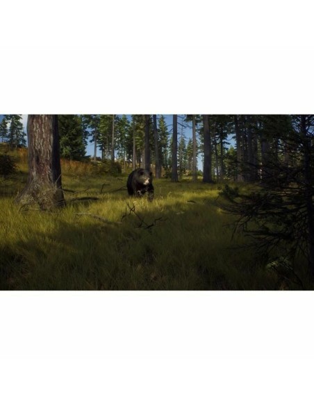 Jeu vidéo Xbox Series X THQ Nordic Wild Expeditions (FR)