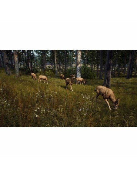 Jeu vidéo Xbox Series X THQ Nordic Wild Expeditions (FR)