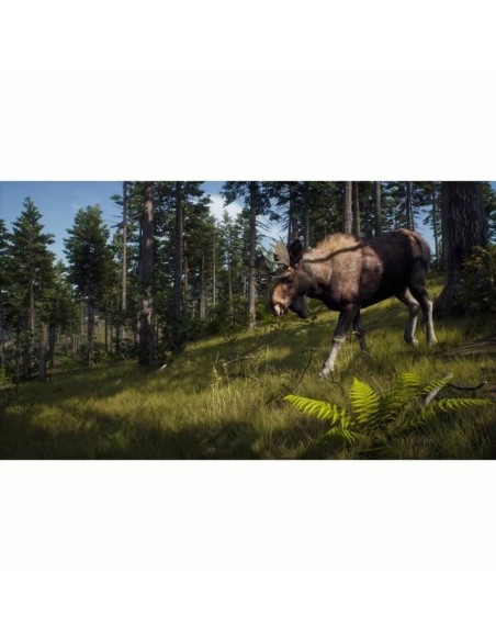 Jeu vidéo Xbox Series X THQ Nordic Wild Expeditions (FR)