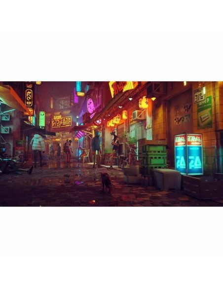 Jeu vidéo pour Switch Just For Games Stray