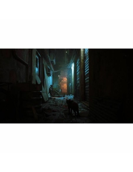 Jeu vidéo pour Switch Just For Games Stray