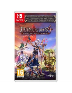 Jeu vidéo pour Switch Microids Dungeons 4