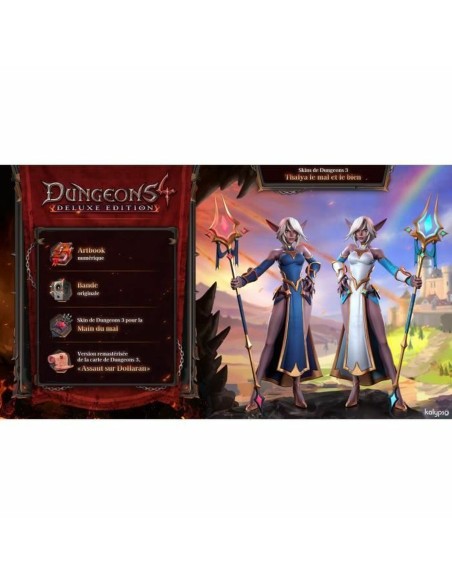 Jeu vidéo pour Switch Microids Dungeons 4