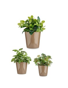 Set de pots Ibergarden Cónica Ø 14 cm Ø 22 cm Ø 17 cm Plastique 30 x 40 cm 3 Pièces (3 Pièces) 2