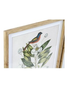 Cadre DKD Home Decor Bird 55 x 2,5 x 70 cm Tropical Oiseaux (4 Pièces) 2