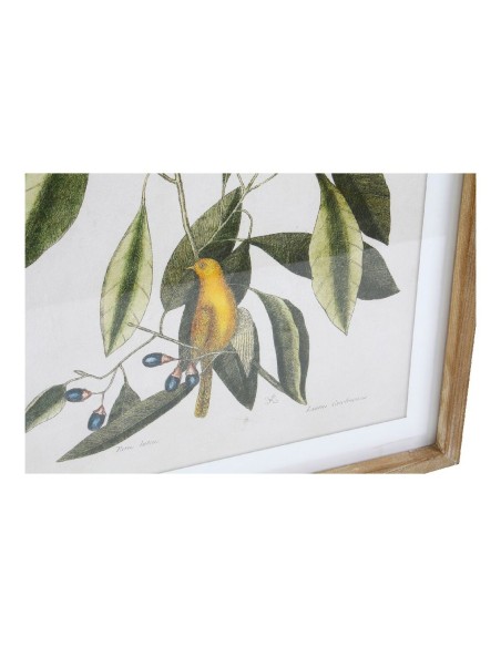 Cadre DKD Home Decor Bird 55 x 2,5 x 70 cm Tropical Oiseaux (4 Pièces)