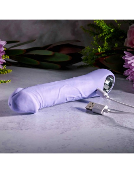 Vibromasseur Evolved Violet