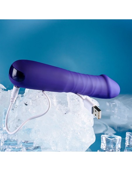 Vibromasseur classique Evolved Selopa Violet