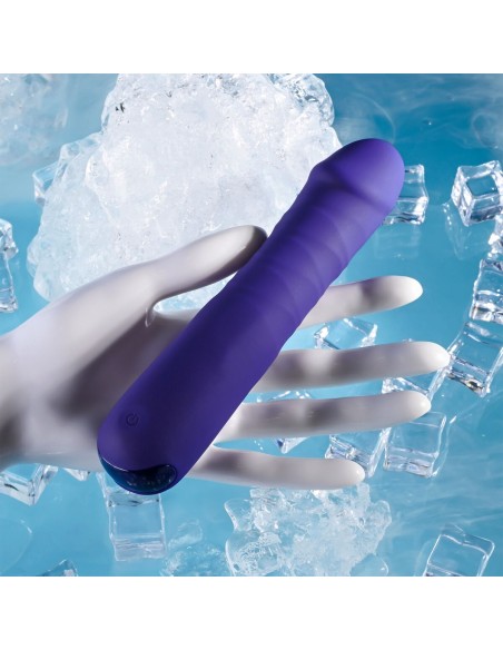 Vibromasseur classique Evolved Selopa Violet