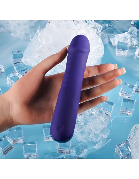 Vibromasseur classique Evolved Selopa Violet
