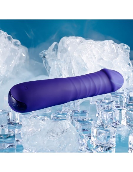 Vibromasseur classique Evolved Selopa Violet