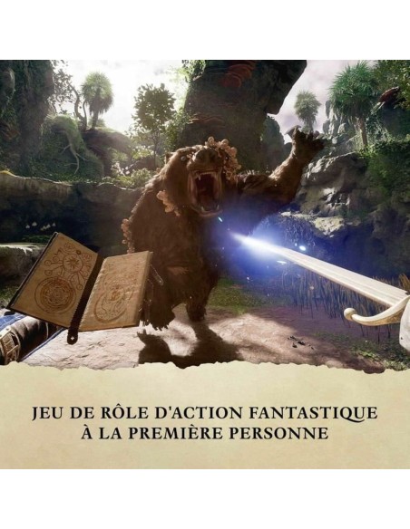 Jeu vidéo Xbox Series X Microsoft Avowed Premium Edition SteelBook