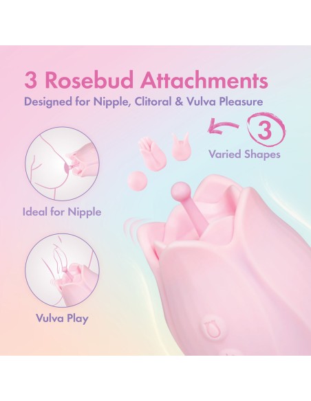 Masseur Blush Play with me Rose