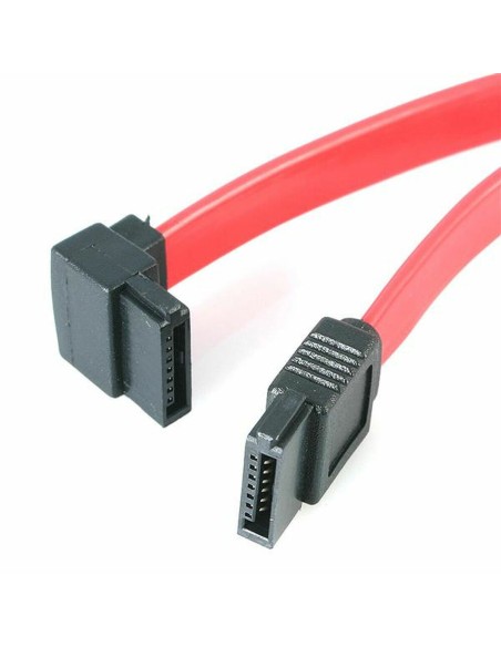 Câble SATA Startech SATA18LA1           