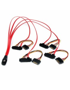 Câble SATA Startech SAS808782P50        