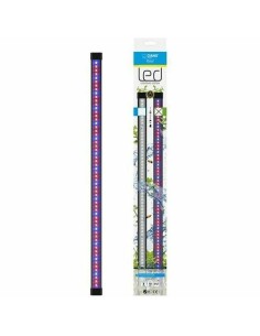 Bandes LED Marshall CIANO CLN5 8 W