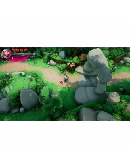 Jeu vidéo pour Switch Microids
