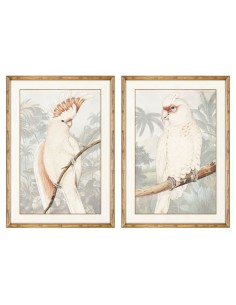 Cadre DKD Home Decor Perroquet Tropical 50 x 3 x 70 cm (2 Unités)