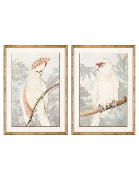 Cadre DKD Home Decor Perroquet Tropical 50 x 3 x 70 cm (2 Unités)