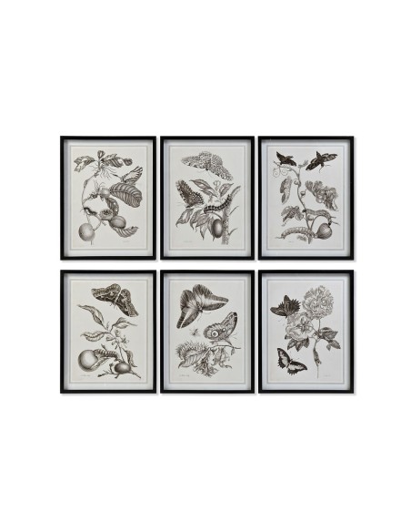 Cadre DKD Home Decor 50 x 2,5 x 65 cm Fleurs Moderne (6 Pièces)