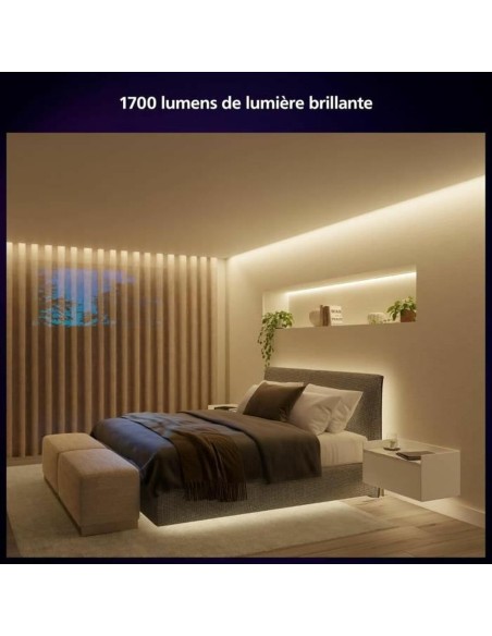 Bandes LED Philips Blanc 20 W