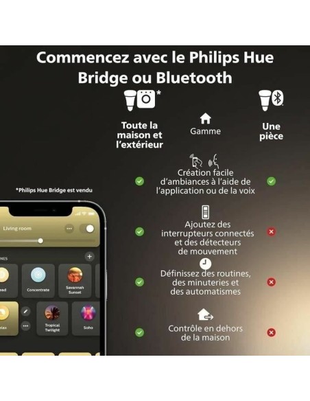 Lampe LED Philips Blanc G 400 lm 2 Unités (2200K) (6500 K)