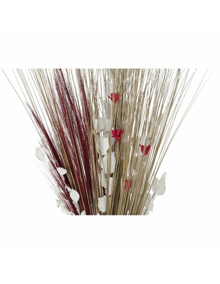 Branche DKD Home Decor 8424001847471 Fleurs Naturel Rouge Marron Fleur séchée (40 x 40 x 150 cm) (2 Unités)