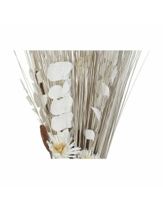 Branche DKD Home Decor 8424001847457 Fleurs Naturel Marron Blanc Fleur séchée (40 x 40 x 150 cm) (2 Unités) 2