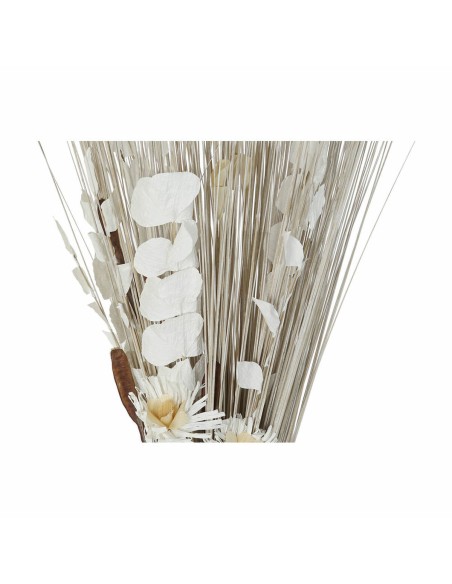 Branche DKD Home Decor 8424001847457 Fleurs Naturel Marron Blanc Fleur séchée (40 x 40 x 150 cm) (2 Unités)