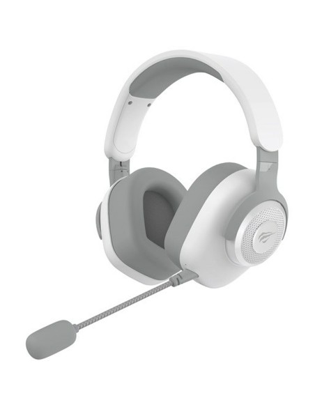 Casques avec Micro Gaming Havit H2230BG