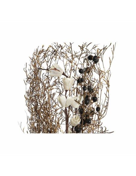 Branche DKD Home Decor Rose Marron Blanc Fleur séchée (2 Unités) (30 x 30 x 65 cm)