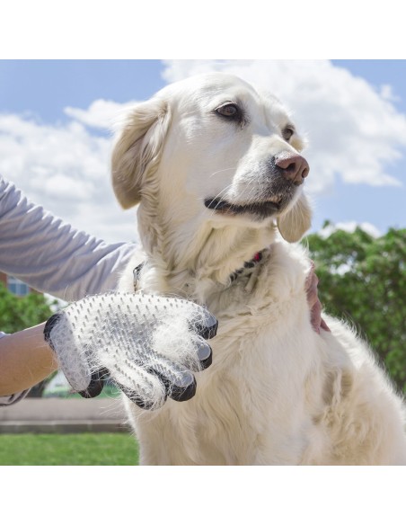Gant pour Brosser et Masser les Animaux Domestiques Relpet InnovaGoods