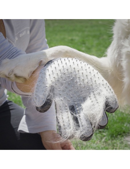 Gant pour Brosser et Masser les Animaux Domestiques Relpet InnovaGoods