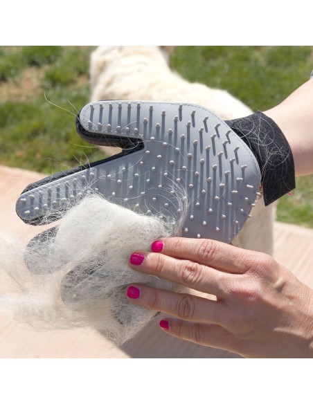 Gant pour Brosser et Masser les Animaux Domestiques Relpet InnovaGoods