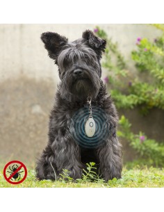 Répulsif Anti-nuisible à Ultrasons Rechargeables pour les Animaux de Compagnie PetRep InnovaGoods