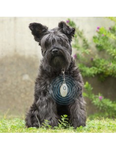 Répulsif Anti-nuisible à Ultrasons Rechargeables pour les Animaux de Compagnie PetRep InnovaGoods 2