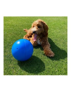 Jouet pour chien Company of Animals Boomer Bleu (200mm) 2