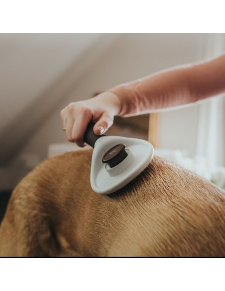 Brosse Démêlante Hunter Auto-nettoyant