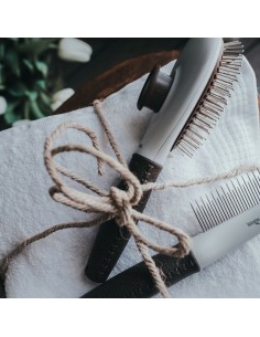 Brosse à Cheveux Hunter Râteau Acier inoxydable 2
