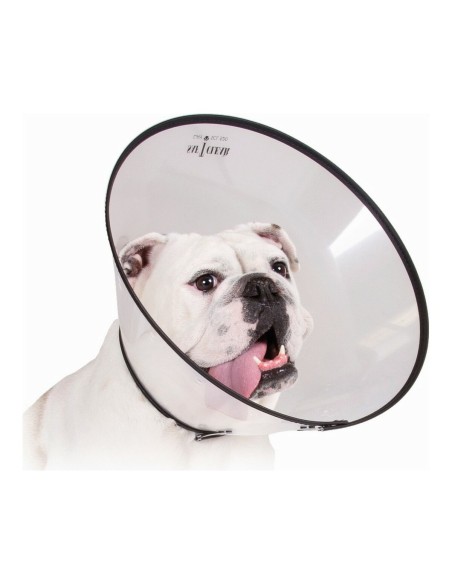 Collier de protection Isabelino pour chiens KVP Saf-T-Clear Transparent (17-30 cm)