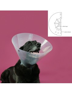 Collier de protection Isabelino pour chiens KVP Betsy Transparent (45-56 cm) 2