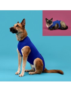 T-shirt de récupération pour animaux de compagnie KVP 21-24 cm Bleu 2