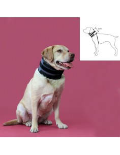Collier cervical pour chiens KVP Noir (10-41 cm) 2
